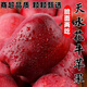 甘肅天水花牛蘋果老樹鮮水果新鮮整箱當(dāng)季粉面蘋果 3斤