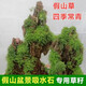 種花迷四季假山草種子 造盆景珍珠草種子 吸水石專(zhuān)用草籽上水石植物易活 假山草【100?！堪l(fā)芽