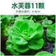瘋狂水草水芙蓉水養(yǎng)植物水草植物凈化水質(zhì)直接入缸魚缸裝飾 源頭直發(fā)包郵