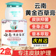 康夫康【2盒】康夫康云南黃金百草膏正品皮膚癢脫皮草本抑菌軟膏止癢膏