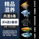 瘋狂水草神仙魚(yú)活體七彩燕魚(yú)熱帶觀(guān)賞魚(yú)淡水水族寵物熱帶耐活魚(yú)苗小型 精品混養買(mǎi)4送2六條裝A