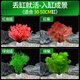 瘋狂水草魚(yú)缸造景水草水培綠植養魚(yú)水草綠菊種植環(huán)魚(yú)缸套餐d 源頭直發(fā)包郵
