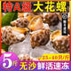 老蟹將花螺鮮活速凍特大號花螺海鮮水產(chǎn)冷凍東風(fēng)螺特大花螺貝類中秋送禮 包鮮無沙大號2斤 1000g (25-40頭/斤)