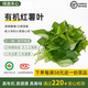 綠源禾心有機(jī)紅薯葉新鮮嫩采摘番薯葉自然生長農(nóng)場當(dāng)季時(shí)令健康無農(nóng)殘蔬菜 250g