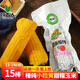 玫梔創(chuàng)新榛純甜糯玉米東北粘苞米黑龍江小粒黃速凍軟糯2024年新鮮粗糧 12-14厘米/15支 創(chuàng)新榛純玉米