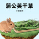 petandyou蒲公英干草100g兔子荷蘭豬龍貓干草零食保健草 500g