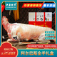 中蒙牧羊阿爾巴斯山羊肉 正宗內(nèi)蒙古鄂爾多斯草原新鮮現(xiàn)殺全羊整只羊 【全羊禮盒】精品分割17.5kg/箱