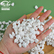 壽禾 白石子小石頭多肉盆栽魚(yú)缸造景綠植裝飾 6-9mm白卵石500g