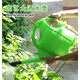 泰鵬加厚灑水壺澆花噴壺塑料澆水壺長(cháng)嘴花灑園藝澆菜澆花壺家用淋水壺 5L綠色