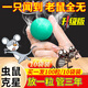 老鼠驅趕神器樟腦丸驅捕鼠臭丸藥防老鼠防鼠家用室內2025新款 蟲(chóng)鼠趨避丸10枚裝【不驅鼠包退+送工具】