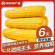 守望鄉(xiāng)村（KEEP W-VILLAGE GO）新鮮東北甜糯玉米 鮮嫩黏玉米棒 蔬菜嫩黏玉米真空包裝苞米棒 黃色玉米200g*6支