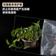 邁凱斯高透明PVC塑料板透明塑料硬片塑料隔板擋板相框保護膜可加工裁剪 A4*210mm 297mm*0.3mm(5片)