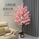 MPPMCK仿真櫻花樹(shù)仿真植物室內客廳落地裝飾盆景許愿樹(shù)大型綠植盆栽假花 香檳 45cm