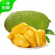 京鮮生 海南老樹菠蘿蜜 30-35斤裝 凈重30斤+ 生鮮水果 源頭直發(fā)