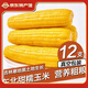 守望鄉(xiāng)村（KEEP W-VILLAGE GO）東北玉米200g*12支 新鮮甜糯玉米 真空包裝鮮嫩玉米苞米棒 黃色玉米12支共 2400g 以上