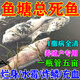 華畜水產(chǎn)養殖專(zhuān)用藥魚(yú)藥魚(yú)爛身爛尾出血白點(diǎn)魚(yú)塘消毒殺菌除蟲(chóng)藥大蒜素 1瓶裝【殺菌消毒治魚(yú)病】