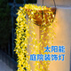 茯見太陽能庭院裝飾燈柳條花架景觀燈串家用氛圍室外院子花園陽臺布置 柳條壁掛燈串【太陽能款】 10柳條-8種模式