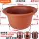 九陽電燉鍋JYZS-K423/K422/K422A/K403/DGD40-05AK紫砂內(nèi)膽蓋子配件 JYZS-K423紫砂內(nèi)膽