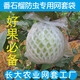 芭樂(lè )套果袋包番石榴水果袋防蟲(chóng)防鳥(niǎo)水果泡沫網(wǎng)保護套用防果蠅套袋 套好的內外袋  厚款 50套