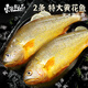 東上御品 國產(chǎn) 新鮮冷凍深海整條大黃花魚凈重800g-900g/條*2條-源頭直發(fā)
