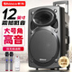 新科 廣場(chǎng)舞音響大功率低音炮移動(dòng)戶(hù)外K歌藍牙拉桿麥克風(fēng) 12英寸音箱擴音器無(wú)線(xiàn)話(huà)筒攤擺攤喇叭  12英寸【重低音】雙話(huà)筒+遙控器