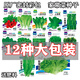 花語(yǔ)笙默12包蔬菜種子套餐四季播種青菜油菜香菜小白菜盆栽地栽田園種菜籽 12包蔬菜種子 原廠(chǎng)封裝