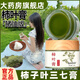 琦后 豬油柿葉膏正品配方霜柿子葉純淡手工斑豬油版柿葉子粉膏 50g