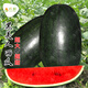 長(zhǎng)耕懶漢西瓜種子特大無(wú)籽8424西瓜秧苗超甜南方麒麟西瓜水果蔬菜種孑 大果黑美人西瓜種子30?！玖挤N】