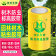 沐達生物樹(shù)木防蟲(chóng)膠帶園林苗木林業(yè)粘蟲(chóng)帶樹(shù)綠化涂白標高帶加寬誘蟲(chóng)黏蟲(chóng)帶