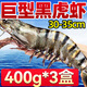 北海灣 高品質(zhì)活凍黑虎蝦 超大蝦類(lèi)大蝦生鮮老虎蝦冰鮮印度海蝦盒裝送禮 【巨大蝦王 共3只】 1200g(凈重)
