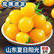 黃色圣女果夏日陽(yáng)光櫻桃千禧小番茄5斤新鮮水果酸甜小西紅柿現摘R 5斤 【帶箱甄選速發(fā)裝】