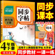 小學語文同步字帖  四年級下冊 同步課本練字帖專項訓練書寫字帖控筆訓練 適用人教版教材配套使用 小學生規(guī)范字字體每日一練