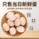 芮瑞 農(nóng)家散養(yǎng)新鮮現(xiàn)撿雞蛋笨雞蛋谷物柴雞蛋初生蛋 單枚40±5g 30枚