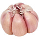 舞荷果大蒜大蒜批發(fā)價(jià)農(nóng)家大蒜頭臘八蒜 251g