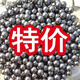 勤凱【鋼珠批發(fā)】8毫米8mm9mm10mm鐵珠珠彈弓鋼珠 9mm鋼珠 1斤