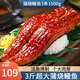 鮮拔頭籌 日式蒲燒鰻魚(yú) 即食整條500g 海鮮壽司料理鮮活烤制可鰻魚(yú)飯 蒲燒鰻魚(yú)3斤 500g*3條裝