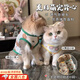 曇蓓漫貓咪衣服薄款小貓衣服防掉毛貓背心狗狗衣服小型犬夏季寵物衣服 【綠邊小熊、夏日無袖背心】 S （適合1-3斤寵物）
