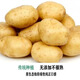 東北黑龍江特產(chǎn)尤金885土豆新鮮薄皮黃心甜面起沙黃瓤馬鈴薯土豆 10斤885土豆 冬季保溫箱發(fā)貨）