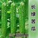 帶土苦瓜苗苦瓜帶土秧苗長(zhǎng)青苦瓜苗綠苦瓜苗白苦瓜苗 長(zhǎng)綠苦瓜苗【帶原土發(fā)貨】 5棵苗送1棵+【掌柜】