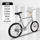 死飛新款20自行車(chē)動(dòng)作金花爆改橄欖翹頭全爆學(xué)生兒童倒剎單車(chē) 第五代爆改倒剎（烤漆銀色）
