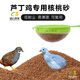 品云美寵蘆丁雞除臭去味柏籽殼核桃砂發(fā)酵床墊料 核桃砂5斤裝