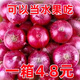 限時(shí)特惠】山東洋蔥蔥紫皮紅皮洋蔥現挖圓蔥頭正宗大果紫洋蔥新鮮 限時(shí)鉅惠：速搶//帶箱 9斤 -小果
