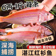 湛江紅杉魚新鮮冷凍海鮮水產(chǎn)深海釣紅三魚金絲魚金線魚紅衫魚 紅杉魚2-4兩每條【凈重2斤】