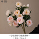 黛莉森 假花仿真花高端輕奢3頭芍藥絹花北歐風(fēng)插花花藝室內(nèi)裝飾客廳擺件 2枝淺粉_3枝淺香檳