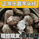 樂(lè )昌張溪炮彈香芋芋頭新鮮蔬菜檳榔小芋頭粉糯農家現挖芋艿毛芋仔 3斤芋頭仔 小果