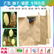 豐康源芒果專(zhuān)用套袋大金煌青芒鷹嘴芒柚子象牙芒防雨水防蟲(chóng)青芒枇杷套袋 100個(gè)刀把單層外黃內黑28*36