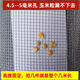 鐵網(wǎng)格網(wǎng)編織網(wǎng)小孔鋼絲網(wǎng)篩麥子玉米網(wǎng)糧食糧倉網(wǎng)防鼠養(yǎng)蜂鐵絲網(wǎng) 4.5mm孔0.7粗1.2米寬x1米