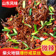 山東特色下酒菜炒咸菜芥菜絲下酒脆嫩口袋伴菜下飯香辣疙瘩 6袋微辣