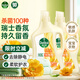 滴露（Dettol）衣物除菌液柔順劑 金盞花2.5L*2衣物消毒除菌除螨