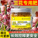 護花匠蘭花肥料專(zhuān)用肥緩釋控釋肥蘭科蝴蝶蘭君子蘭促開(kāi)花有機肥料130克